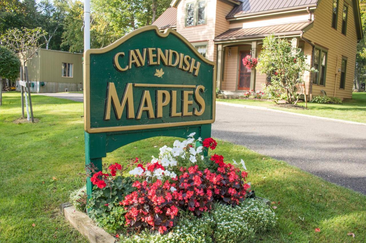 Cavendish Maples Cottages Kültér fotó